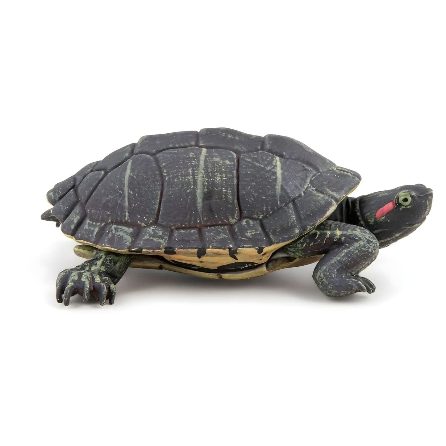 Figura de borracha Tartaruga da Flórida