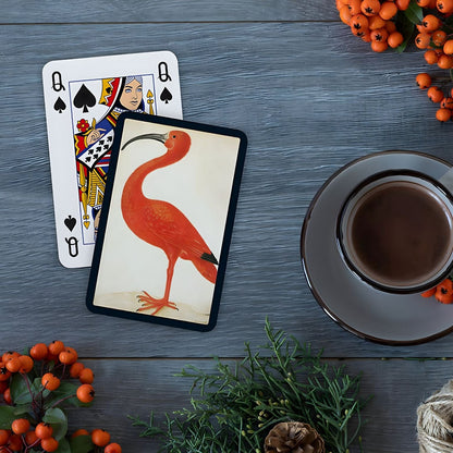 Piatnik Ibis Double Deck of Cards with artistic bird illustration and colorful children's cards