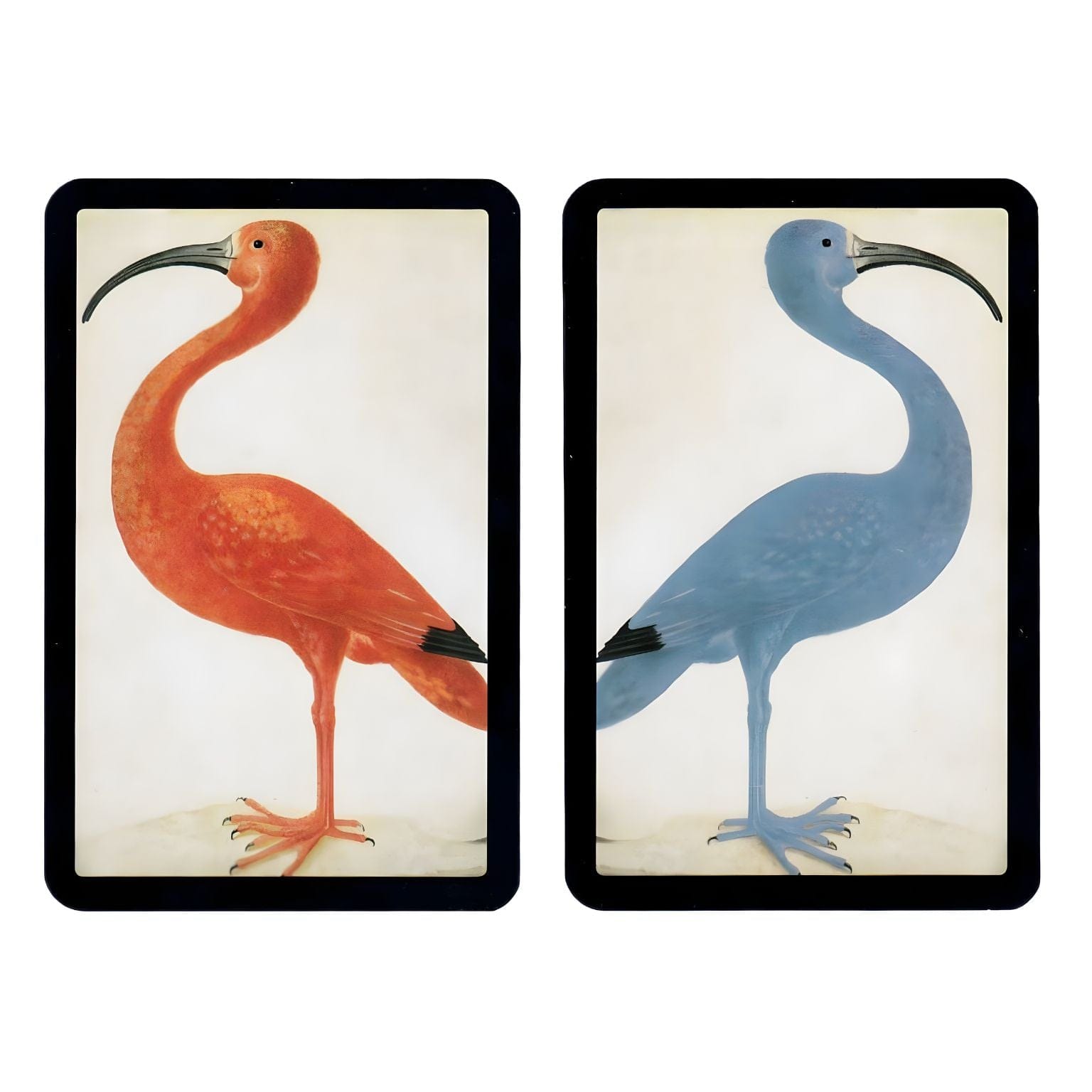 Baralho de Cartas Duplo Ibis da Piatnik com ilustração artística de ave e cartas infantis coloridas