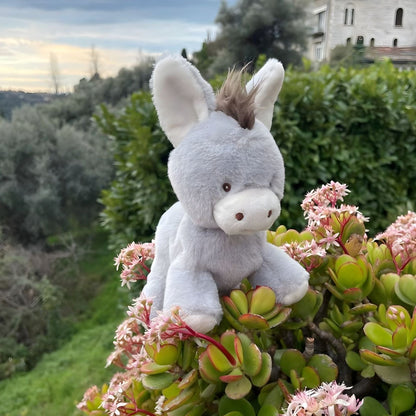 Christopher baby donkey plush grey with brown mane and sweet expression