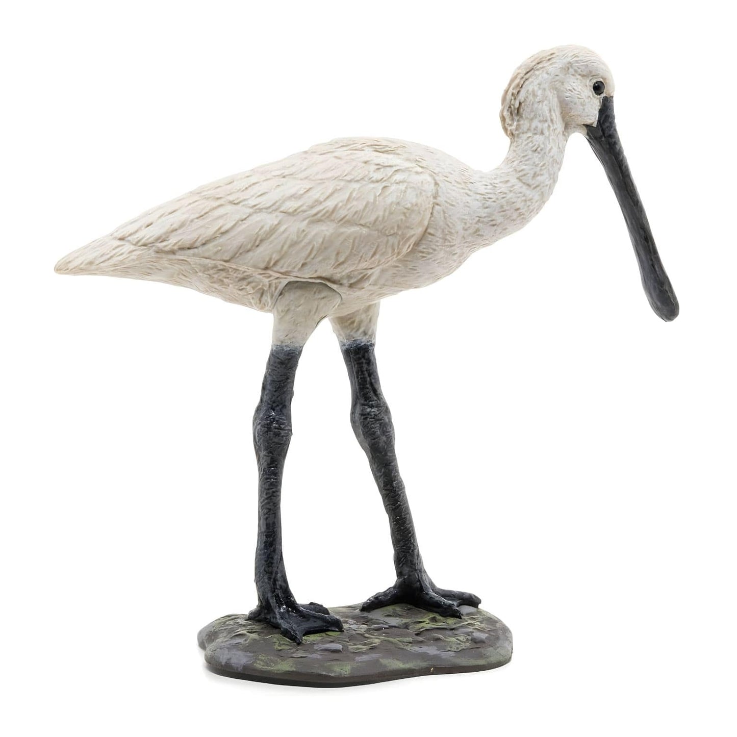 Figura de borracha espátula-comum em vista lateral