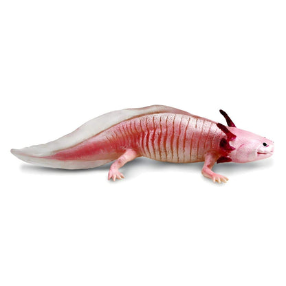 Axolotl Rubber Figure as a curious animal for aquatic stories