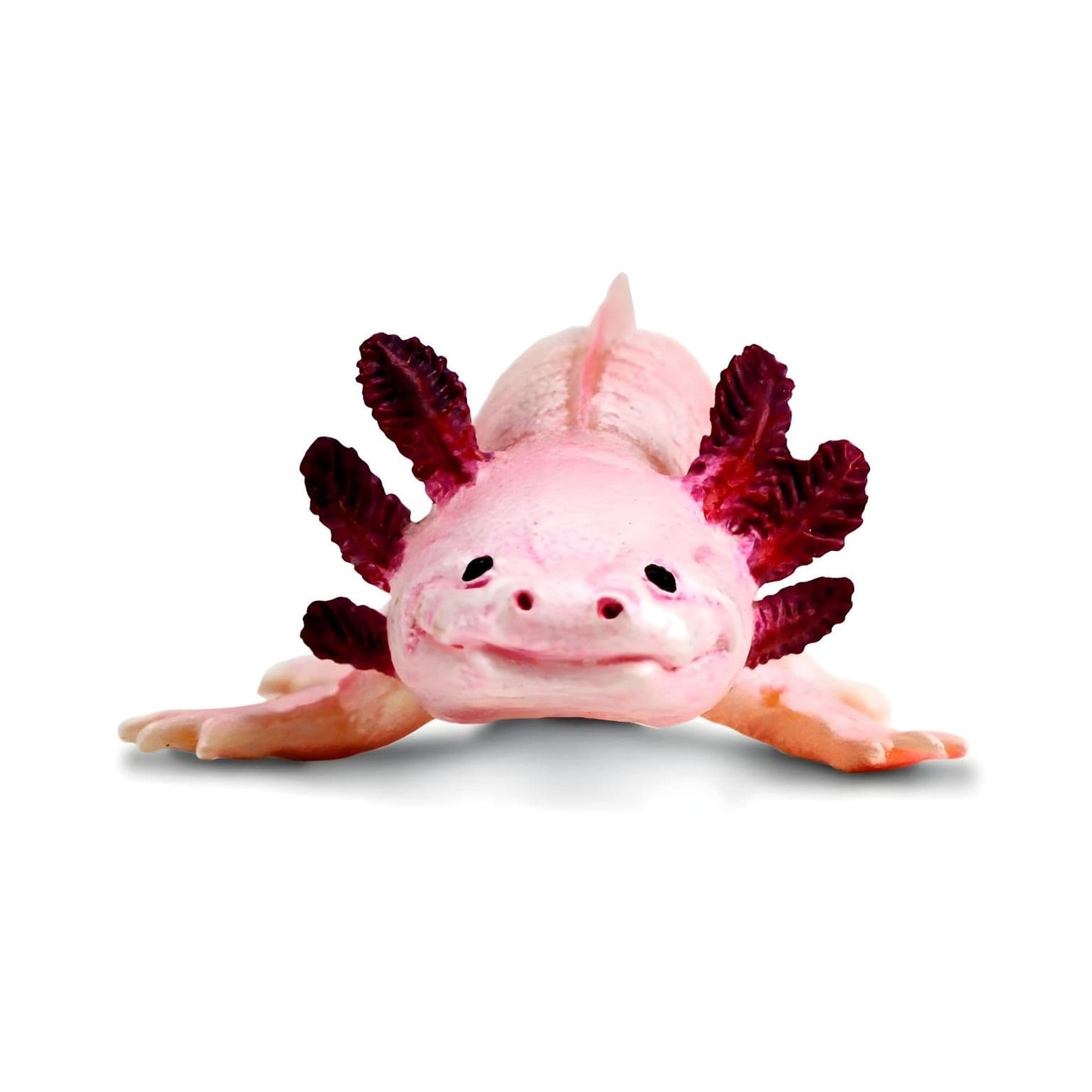 Axolotl em figura de borracha para coleções de animais e faz de conta
