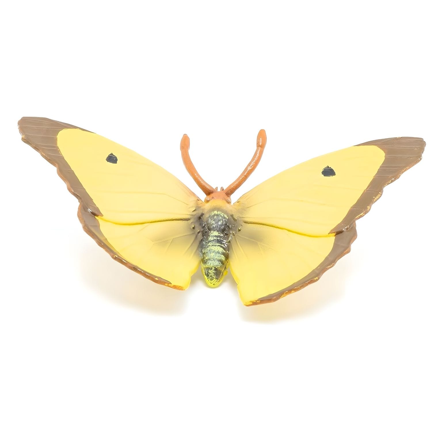 Figura de borracha Borboleta-marisol da Brincatoys.