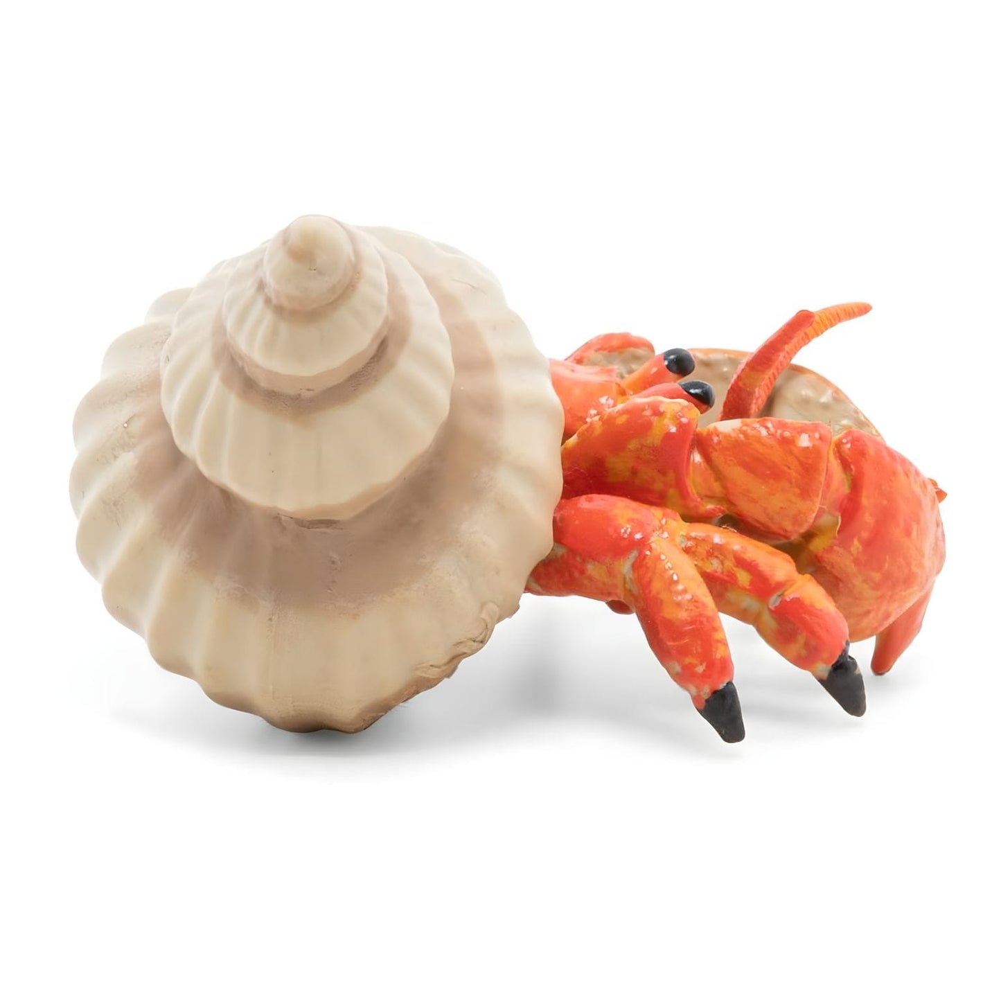 Figura de borracha Caranguejo-eremita da Brincatoys.