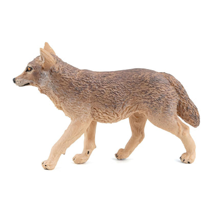 Play jackal for wild animal collection