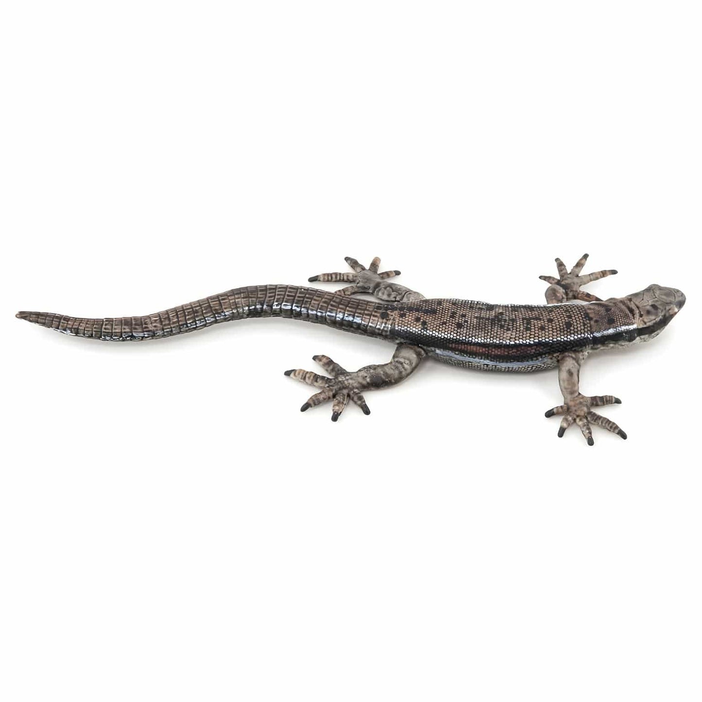 Figura de borracha lagarto comum em vista frontal