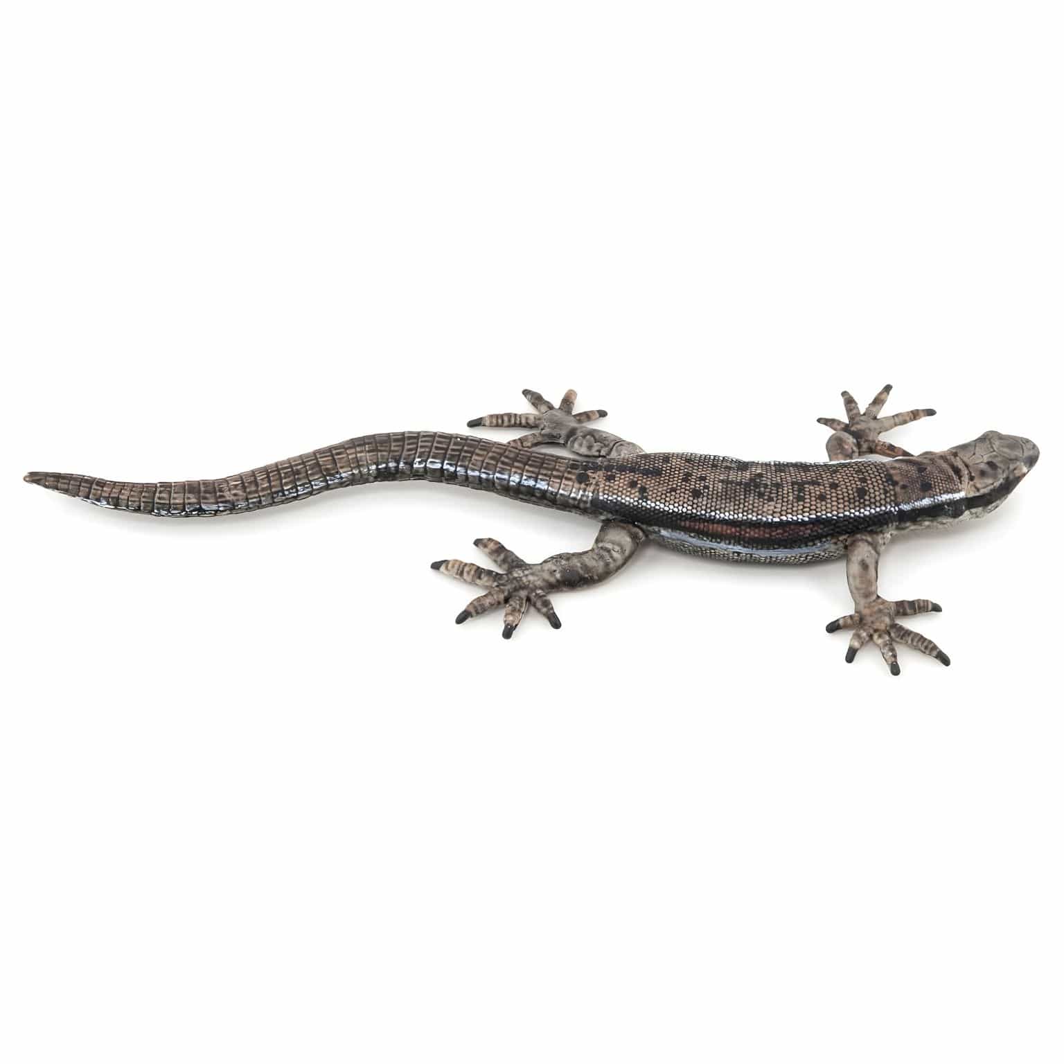 Figura de borracha lagarto comum em vista frontal