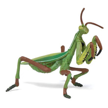 Figura de borracha Louva-a-deus da Brincatoys.