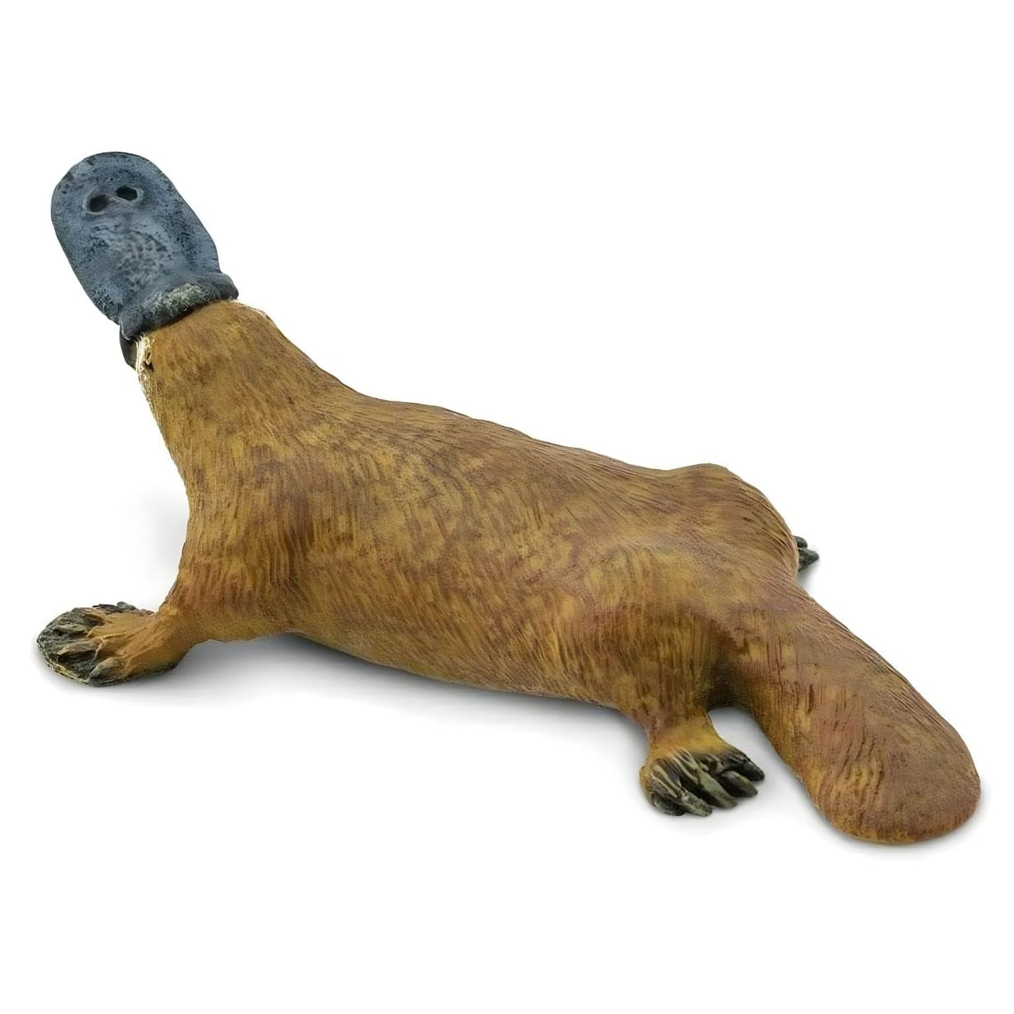 Figura de borracha Ornitorrinco em perspetiva frontal