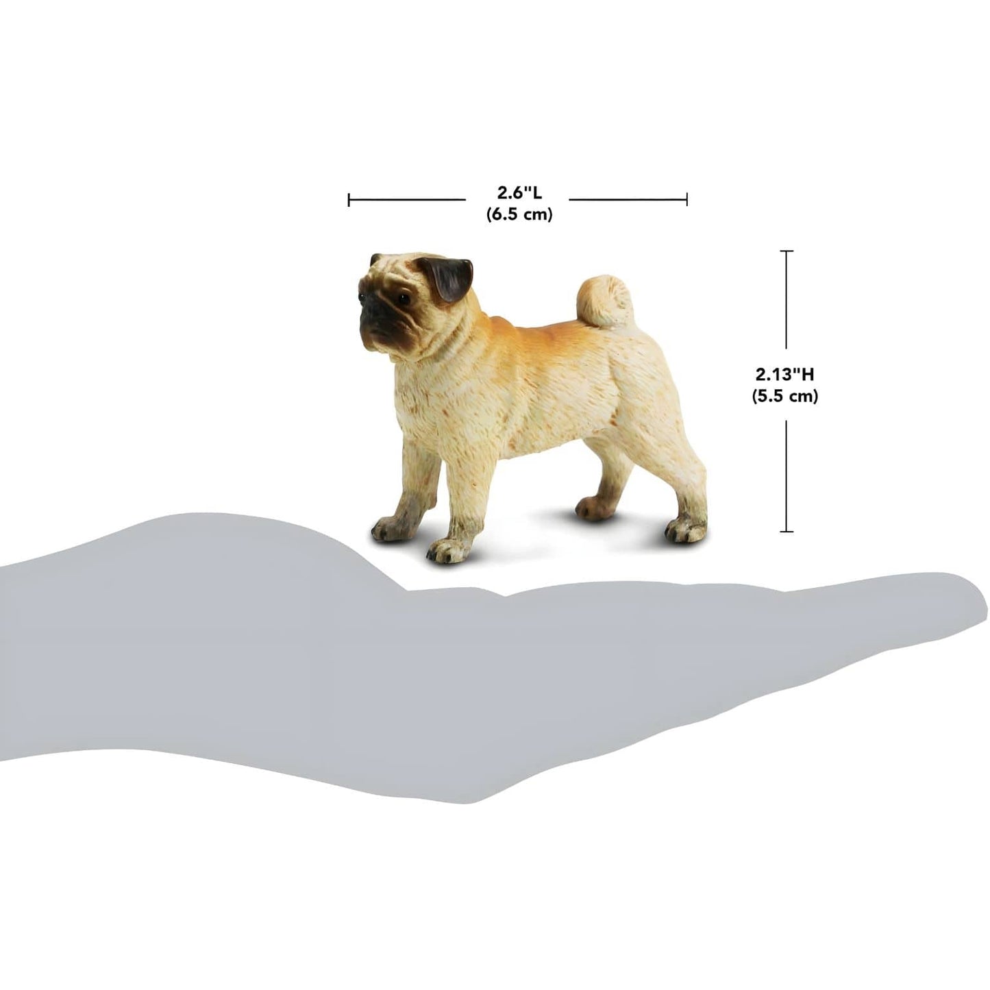 Figura de borracha Pug com imagem complementar