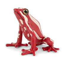 Figura de borracha Rã-de-seta-tricolor da Brincatoys.