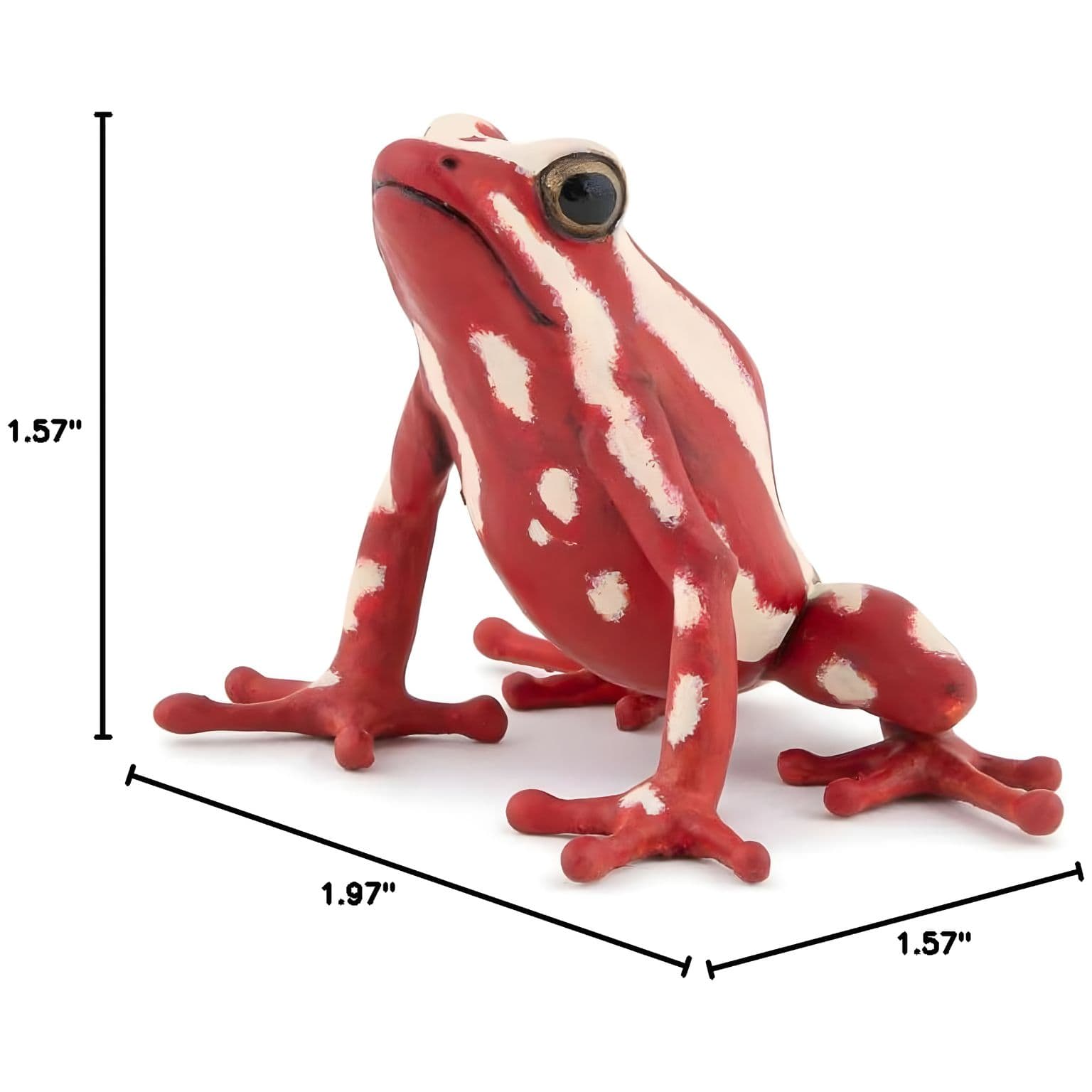 Figura de borracha Rã-de-seta-tricolor da Brincatoys.