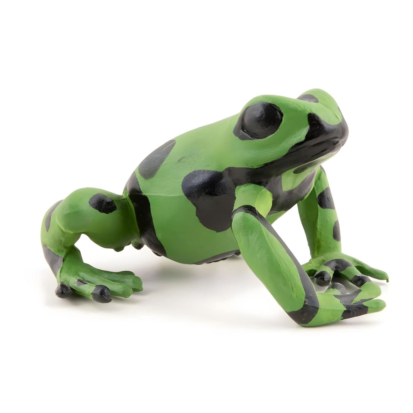 Figura de borracha rã-verde equatorial em detalhe