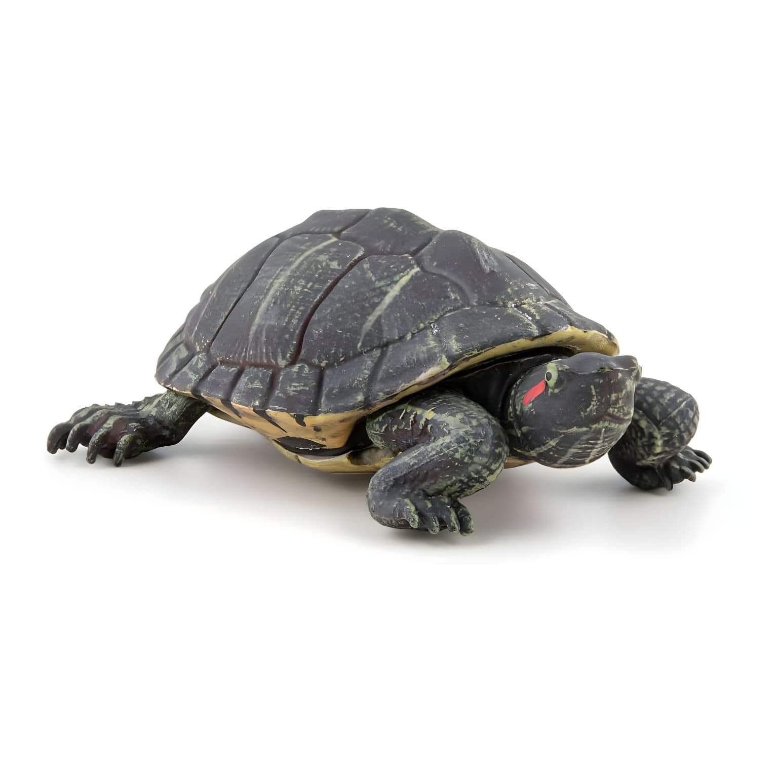 Figura de borracha Tartaruga da Flórida