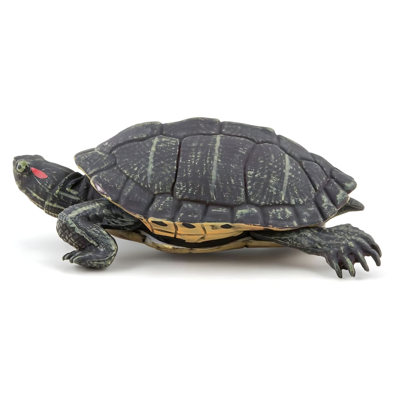 Figura de borracha Tartaruga da Flórida