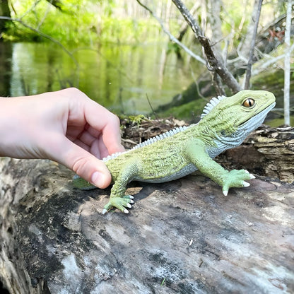 Tuatara rubber figure in rear view