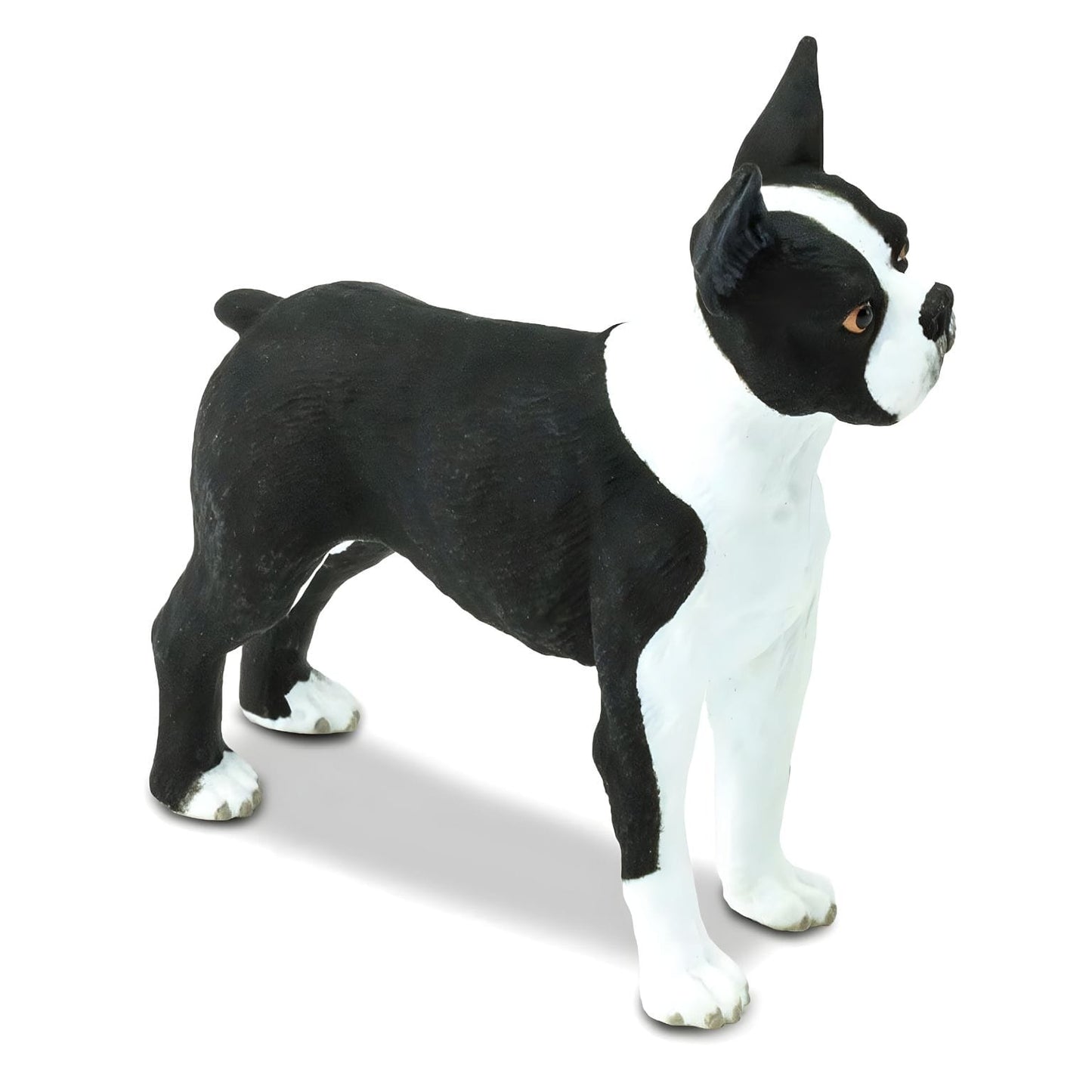 Figura de borracha Boston Terrier com vista adicional