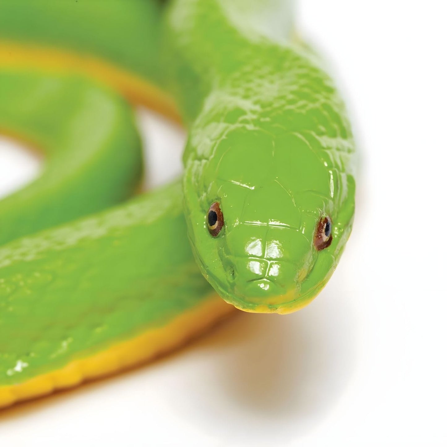 Detalhe da figura de borracha Cobra Verde