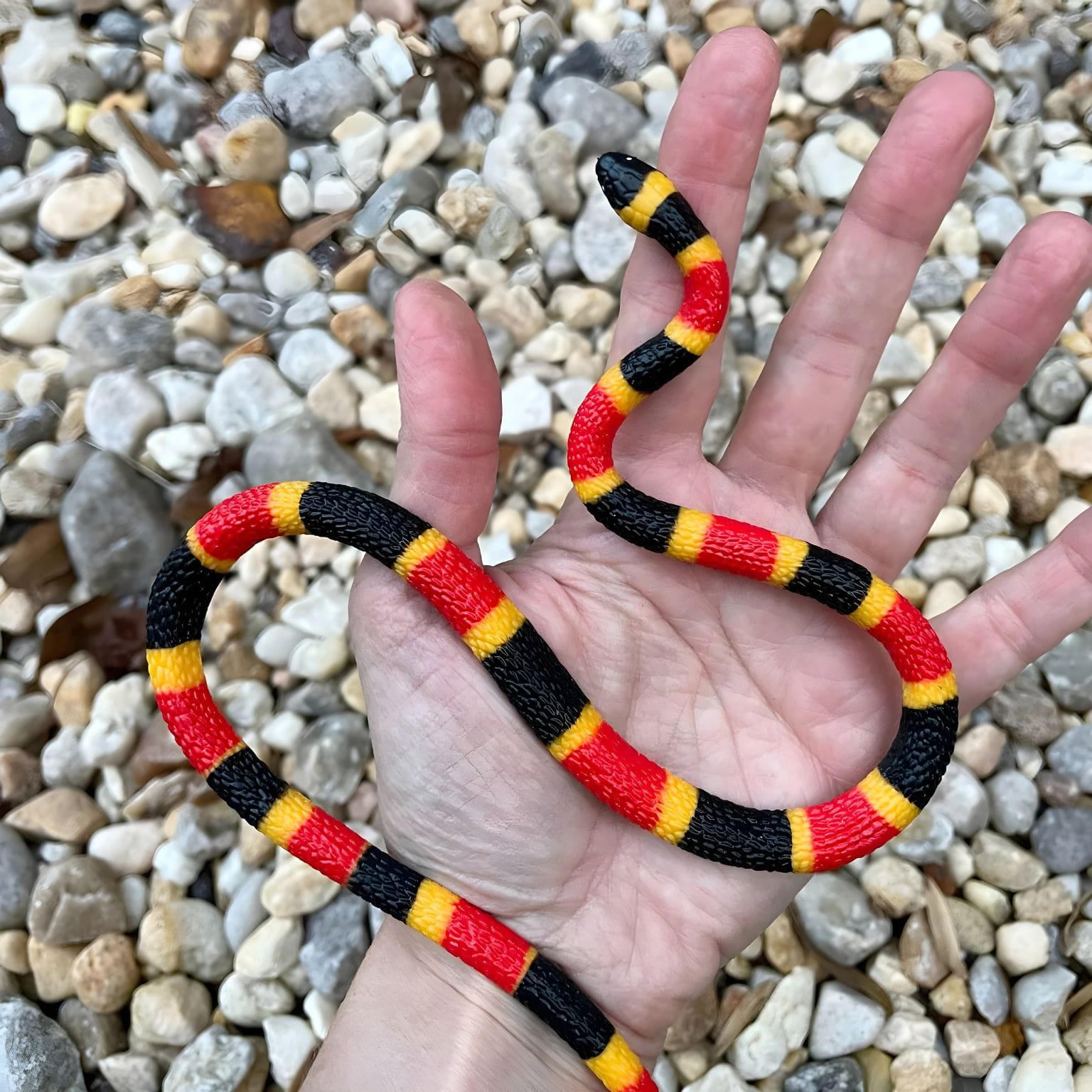 Figura de borracha Cria de cobra coral em outra perspetiva