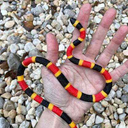 Coral Snake hatchling rubber figure in another perspective
