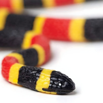 Coral Snake hatchling rubber figure in detail