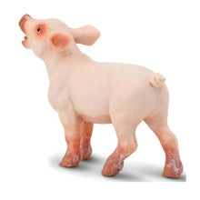 Figura de borracha Leitão em perspetiva frontal
