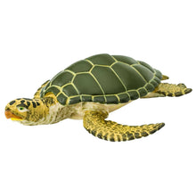 Figura de borracha Tartaruga Verde em perspetiva frontal