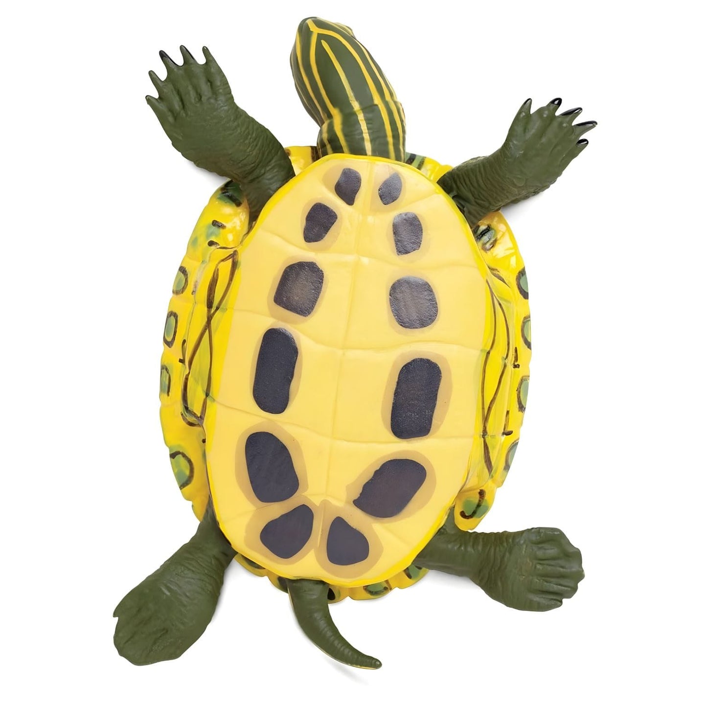 Figura de brincar Tartaruga de orelha vermelha
