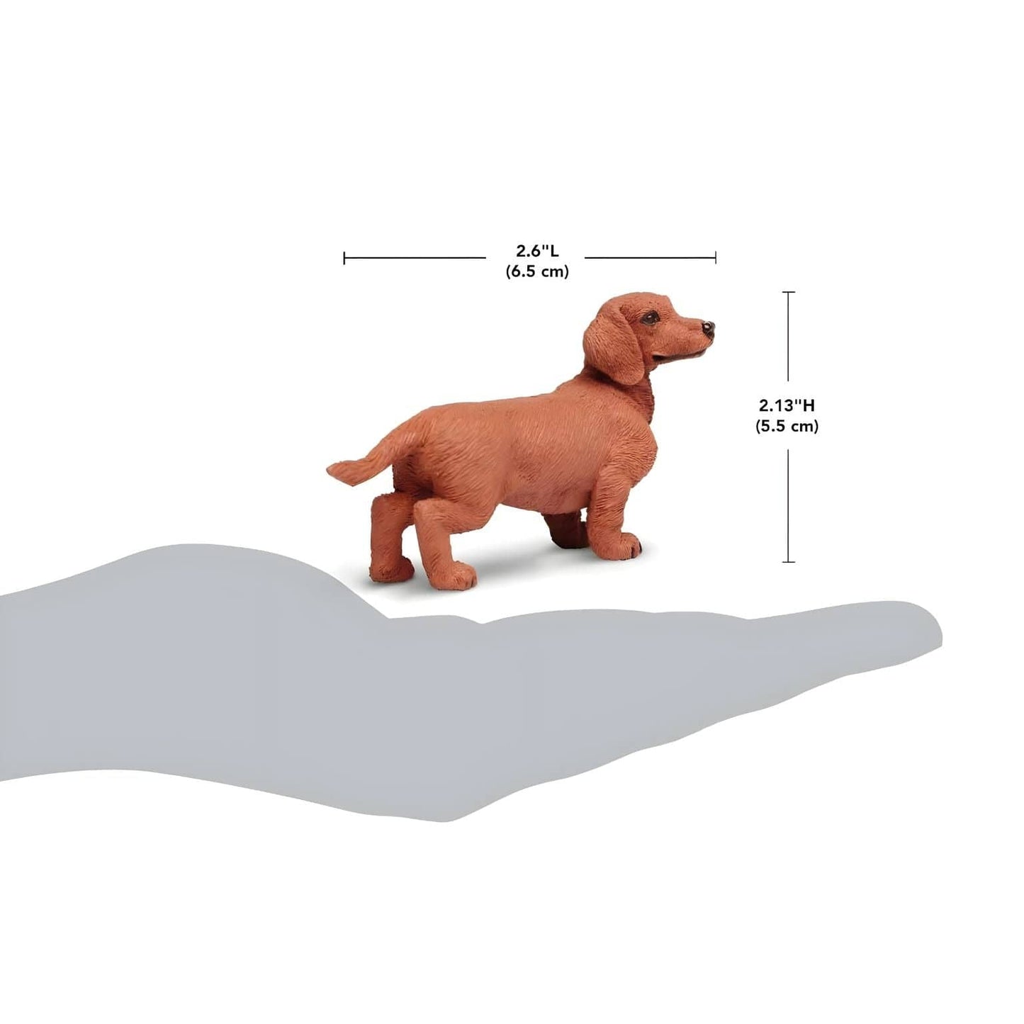 Figura de borracha Teckel com imagem complementar