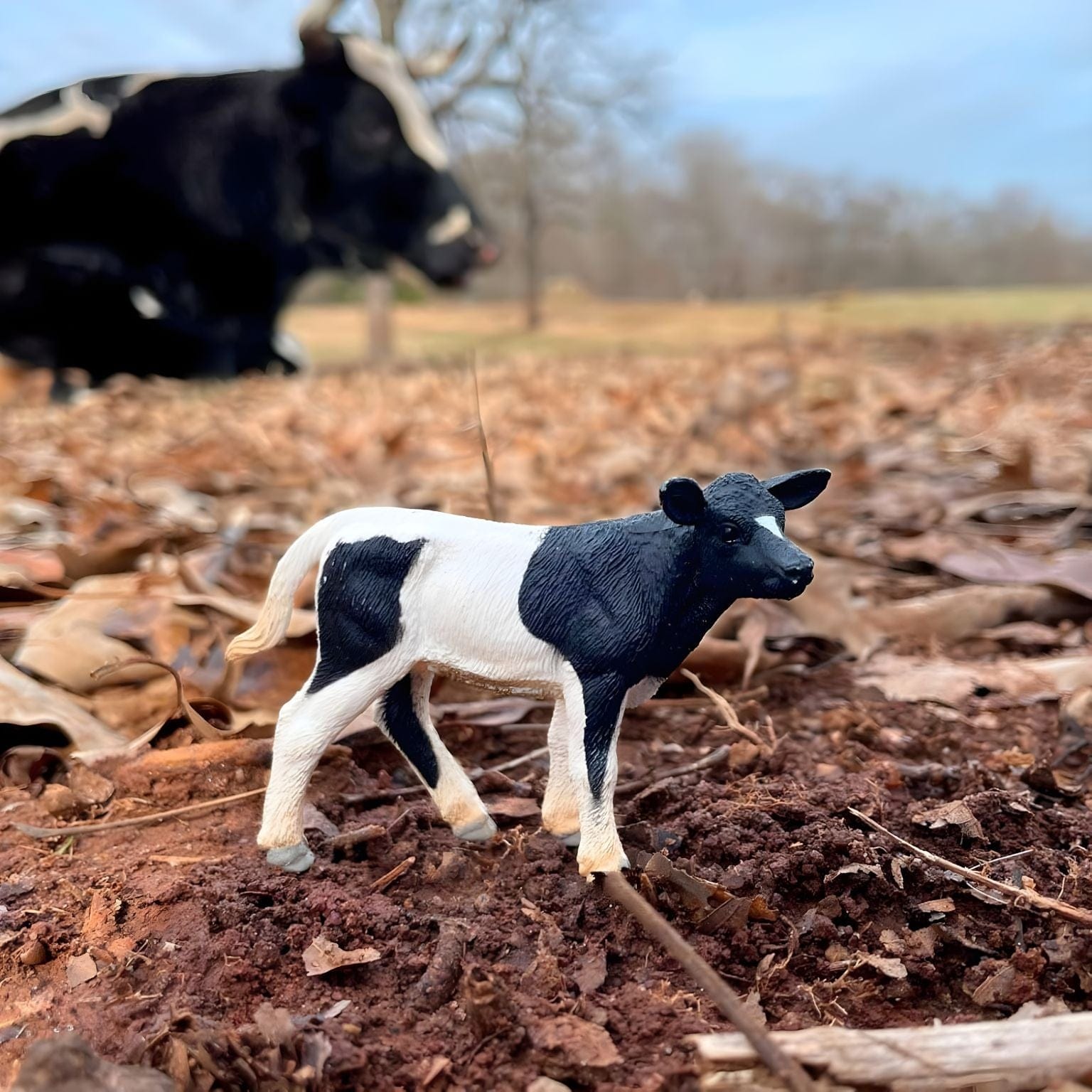 Figura de borracha Vitelo Holstein malhado em outra perspetiva