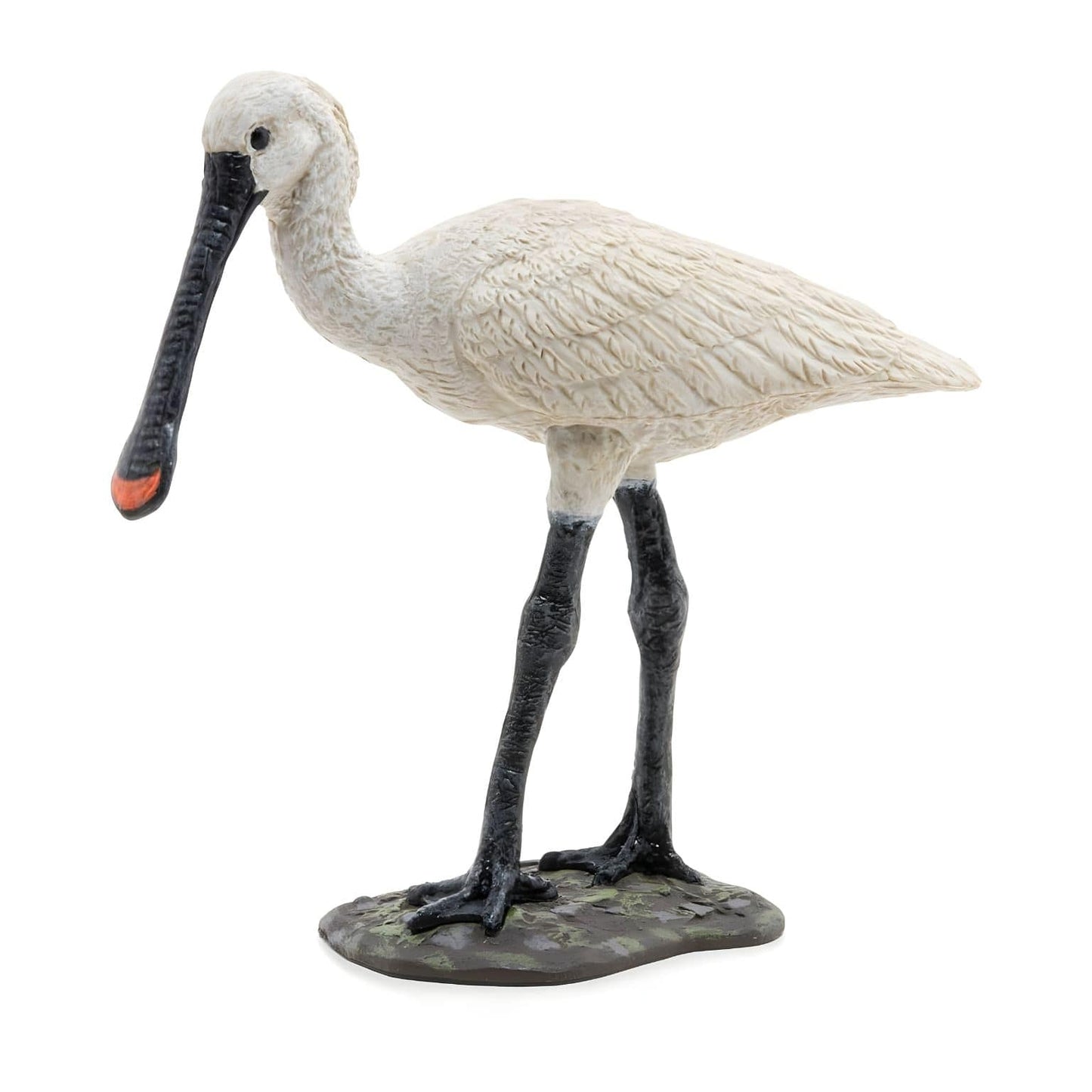 Figura de borracha espátula-comum em vista principal