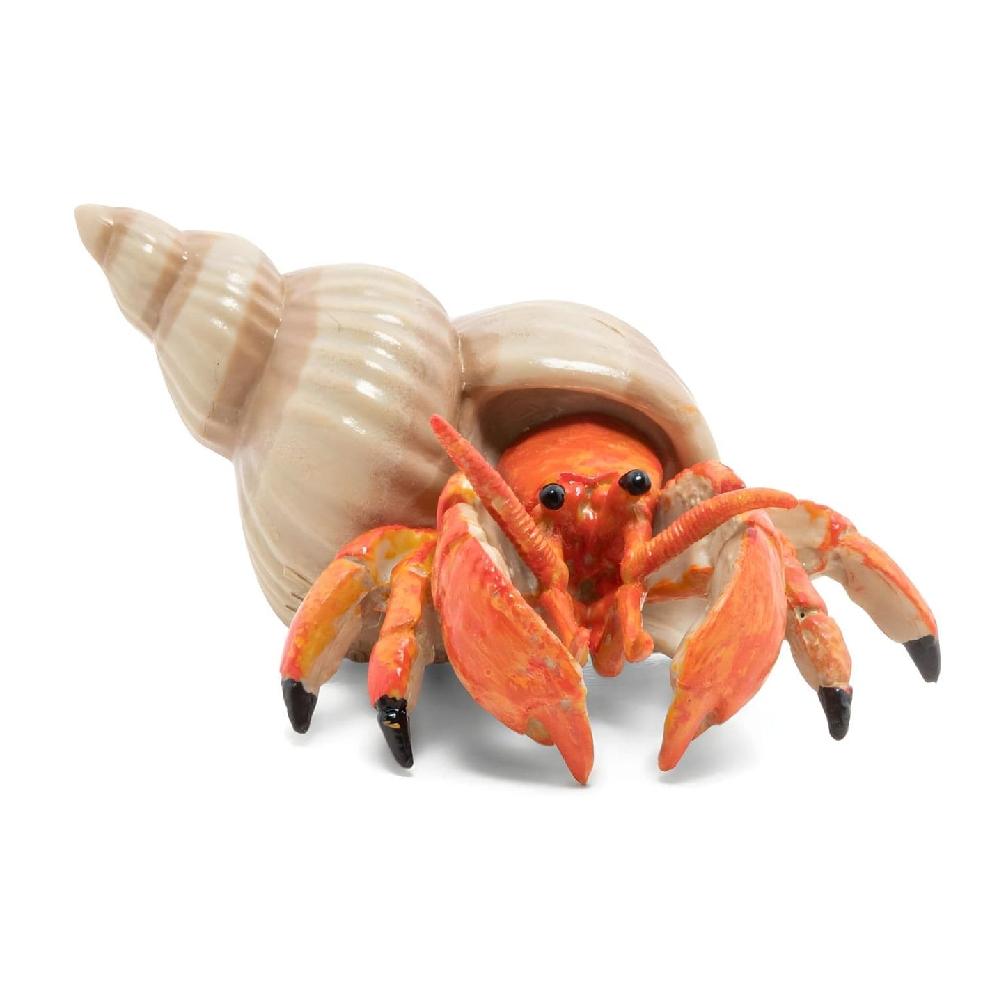 Figura de borracha Caranguejo-eremita da Brincatoys.