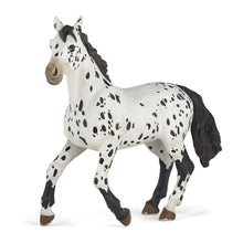Figura de borracha Cavalo Appaloosa da Brincatoys.