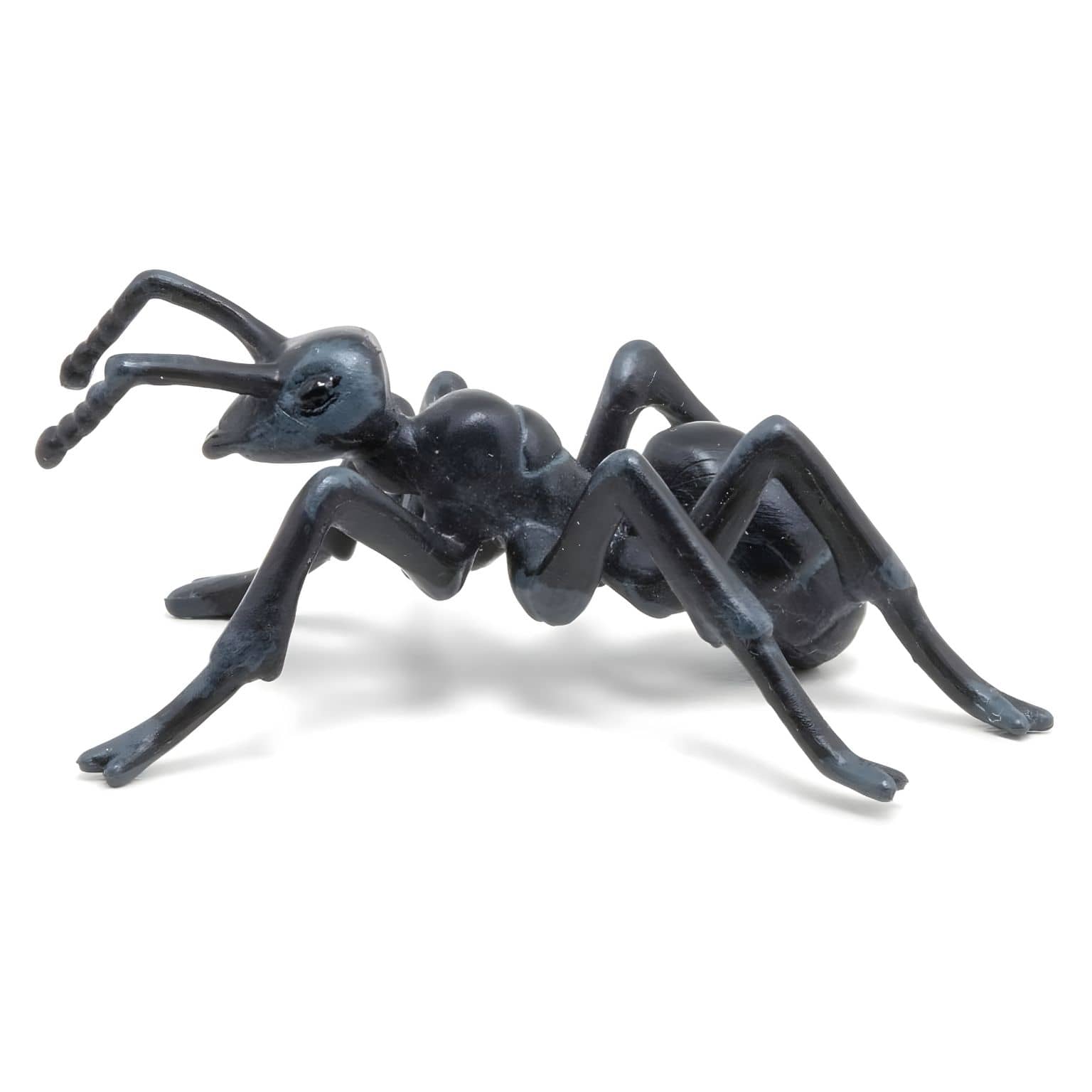 Figura de borracha formiga em vista principal