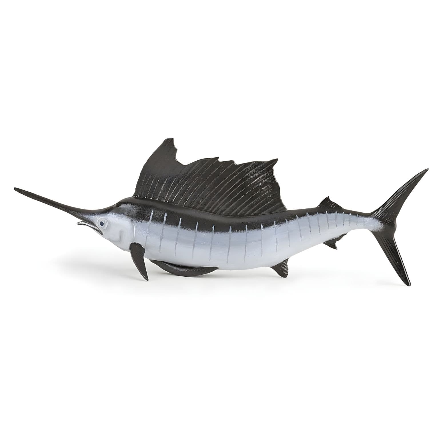 Figura de borracha peixe-vela em vista principal