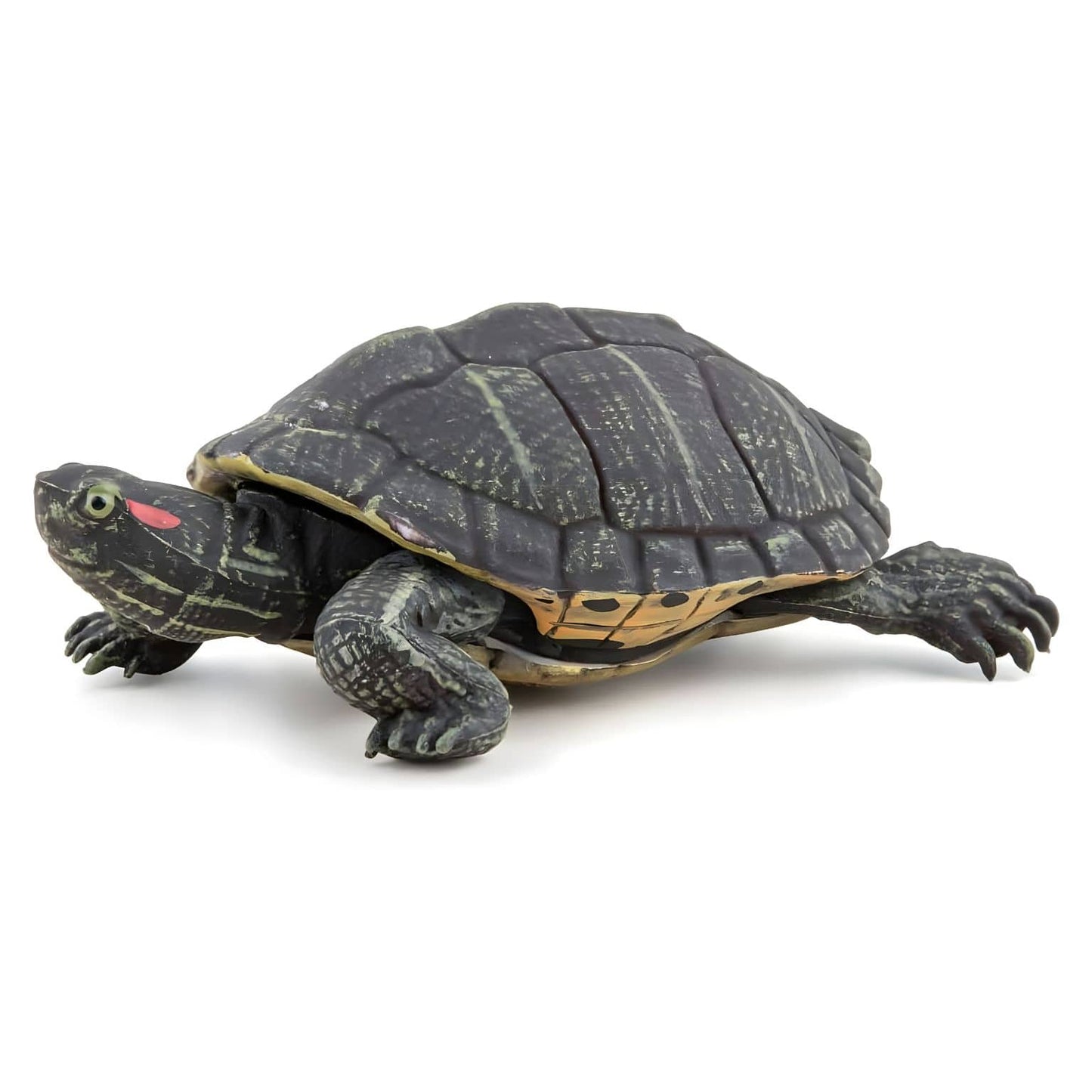 Figura de borracha Tartaruga da Flórida