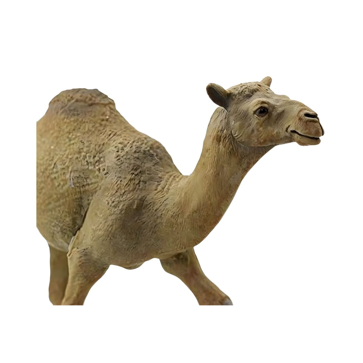Figura animal do deserto Safari Ltd para histórias imaginativas