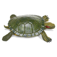 Figura de borracha Tartaruga de orelha vermelha