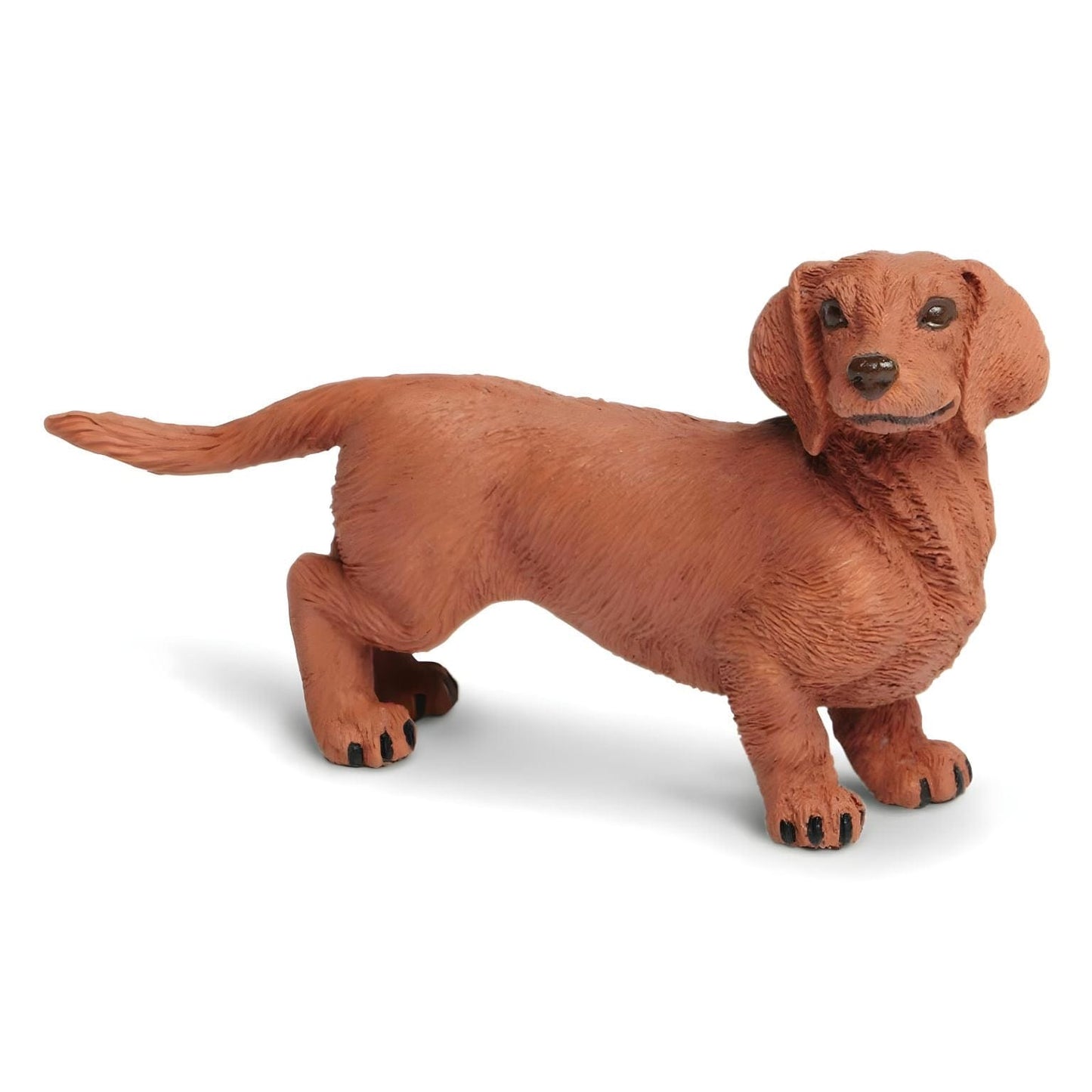 Figura de borracha Teckel em destaque