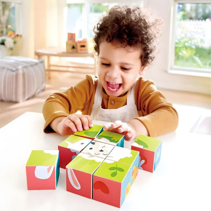 Hape Farm Animals puzzle cubes for visual association