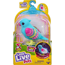 Apresentamos Little Live Pets Lil' Bird Tweet Twinkle Azul com o SKU 641941624 recomendado para + 5 anos