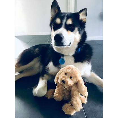 Introducing 25 cm Plush Dog with SKU 520415924 recommended for + 6 months