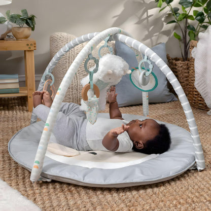 Introducing Sheppy's Spot Activity Gym with SKU 951247025, recommended for ages 0 months+