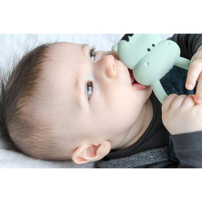 Introducing Hippopotamus Teether with SKU 129044922 recommended for + 0 months