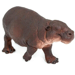 Hipopótamo Pigmeu - Brincatoys