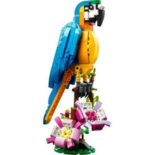 Apresentamos Lego Creator - Papagaio Exótico com o SKU 663113623 recomendado para + 7 anos
