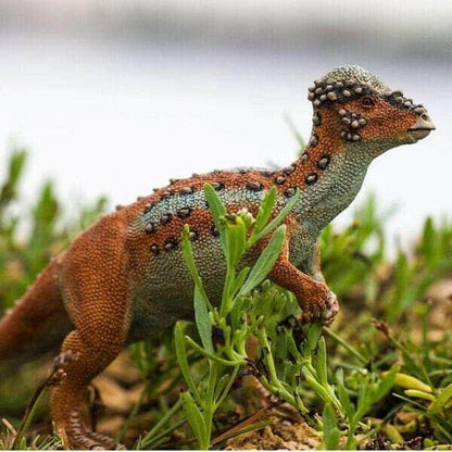 Introducing Rubber Figure - Pachycephalosaurus with SKU 430035021 recommended for + 3 years