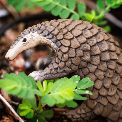 Introducing Rubber Figure - Pangolin with SKU 430026823 recommended for + 3 years