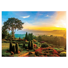 Apresentamos Puzzle 1000 peças -Jardim Maravilhoso- com o SKU 531796820 recomendado para + 12 anos